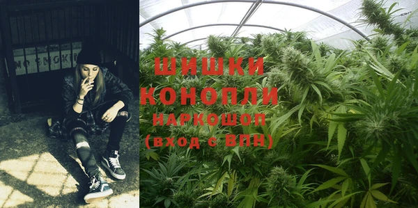 винт Аркадак