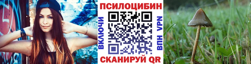 Купить закладки  Красноуфимск  Псилоцибиновые грибы Psilocybine cubensis 